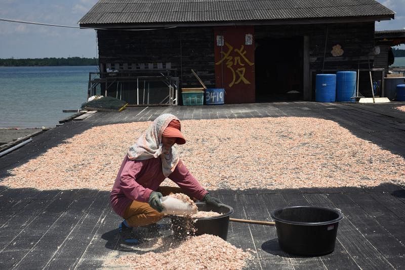 渔民将捕获的虾曝晒，制作虾米。