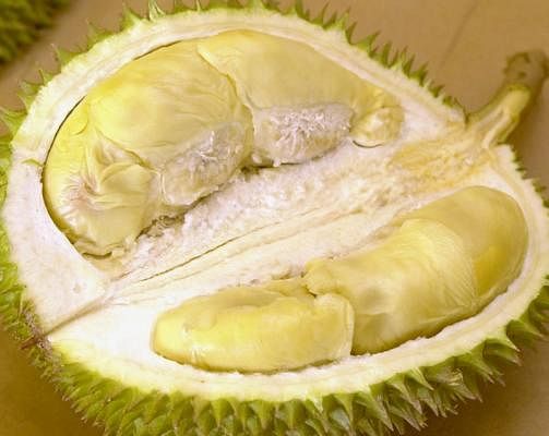 20171214_lifestyle_durian_03_Small.jpg
