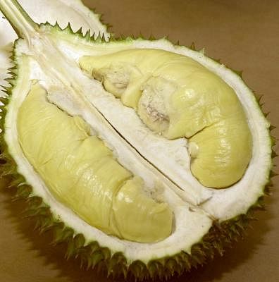 20171214_lifestyle_durian_09_Small.jpg