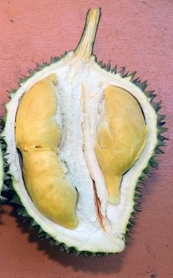 20171214_lifestyle_durian_10_Small.jpg