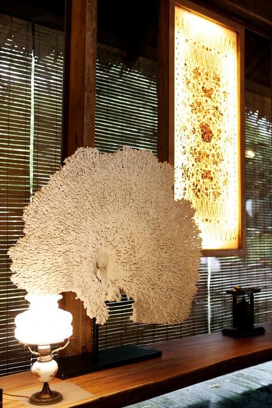 孔雀开屏似的白色珊瑚与爪哇的牛皮灯相呼应。