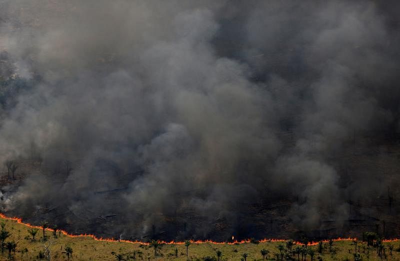 森林发生大火时，花草树木、土壤的燃烧提高了空气中二氧化碳浓度，被“困住”的光与热自然也就多了，造成全球暖化。（路透社）