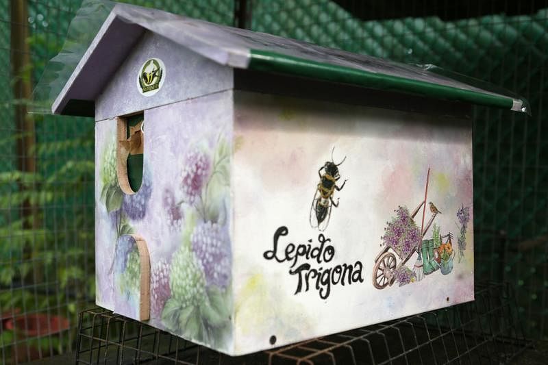 Ashram生态园的彩绘蜂箱是陈梽勇的太太黄春梅亲手制作的。（谢智扬摄）