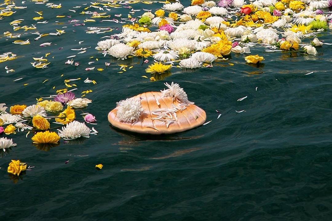 洪子谦引进的环保贝壳骨灰瓮,在进行海葬时,与花瓣一同漂浮在海上