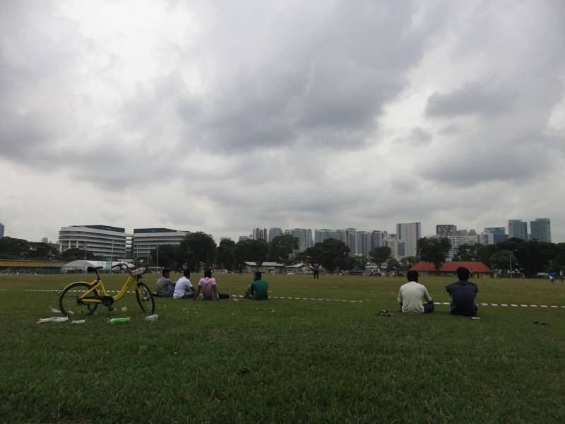 让公众免费使用的大草场，常见多种体育活动。