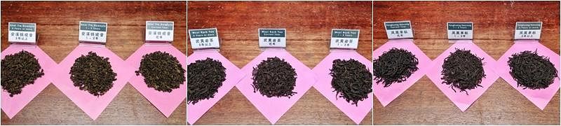 参与“早报文创空间”工作坊的读者可从三种茶（左起安溪铁观音、武夷岩茶、凤凰单枞）的9款茶叶的基础上学习拼配。