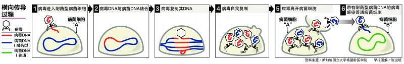 20181017_news_dna_Large.jpg