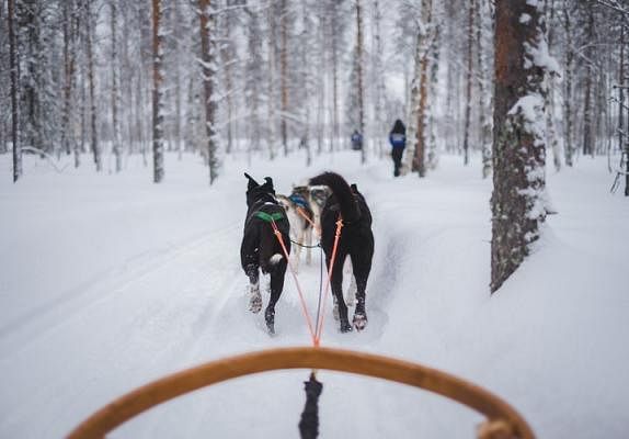 20181023_lifestyle_emirates_dog_sledding_1_Small.jpg