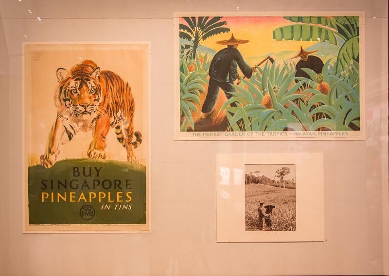 黄梨罐头海报，老虎的形象成为新加坡代名词。