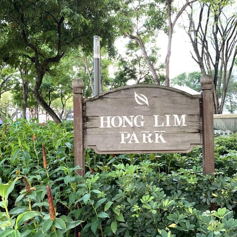 原名芳林埔（Hong Lim Green），60年代改建后易名芳林公园（Hong Lim Park）。