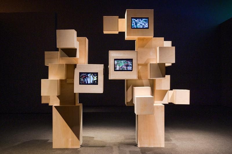 艺术家蒂妮·阿里曼的声音装置将听觉表演化为雕塑，观众可与之互动。（国家美术馆提供）
