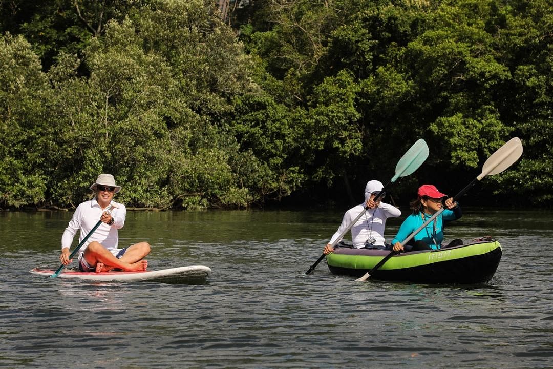 林明伦（左一）带领顾客划船，在我国东北部海域的沼泽地带探险。（李健玮摄）