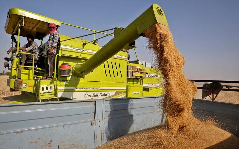 高通胀与热浪夹攻 印度即日起禁止小麦出口