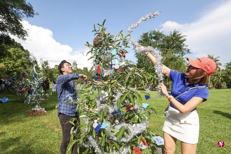 美国数据中心业者Equinix的职员和企业伙伴一行近90人，星期四顶着大太阳在新加坡植物园给树木“打扮”，为“世界之树2022”亮灯活动做准备。（陈斌勤摄）