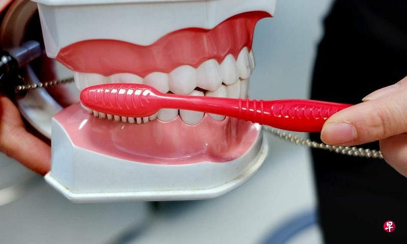 如果不坚持刷牙，牙齿上就会滋生牙菌斑，它的堆积会导致牙龈发炎，进而有可能感染大脑，增加患失智症的风险。（档案照片）