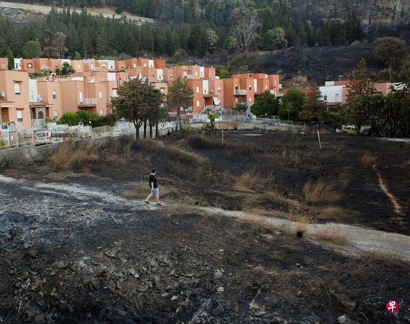 意大利西西里岛再次出现野火。图为7月26日，西西里岛的巴勒莫镇，一处被野火烧毁的耕地。（路透社）