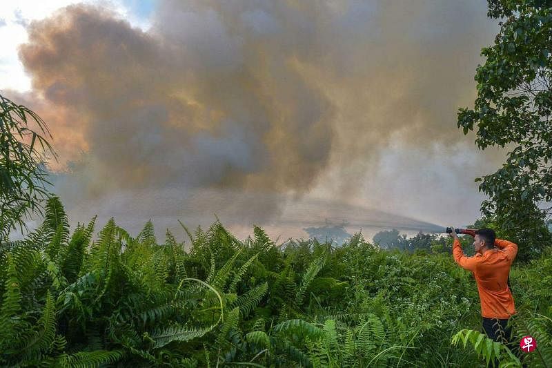 7月31日，印度尼西亚苏门答腊岛廖内省（Riau）首府北干巴鲁（Pekanbaru）的消防人员正在一处泥炭地附近执行灭火作业。（法新社）