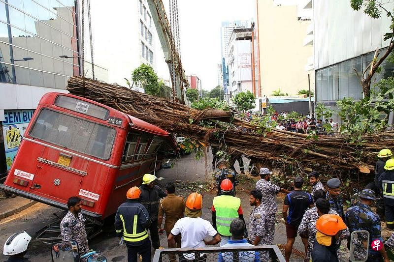 斯里兰卡首都科伦坡市中心一棵大树10月6日倒下，砸中在车站停下的一辆国营公司的巴士。（法新社）