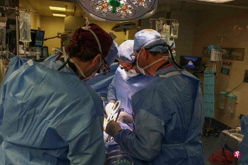 美国马萨诸塞州总医院发布的照片显示，一组医生于3月16日将经过基因编辑的猪肾移植入病人体内。（法新社）