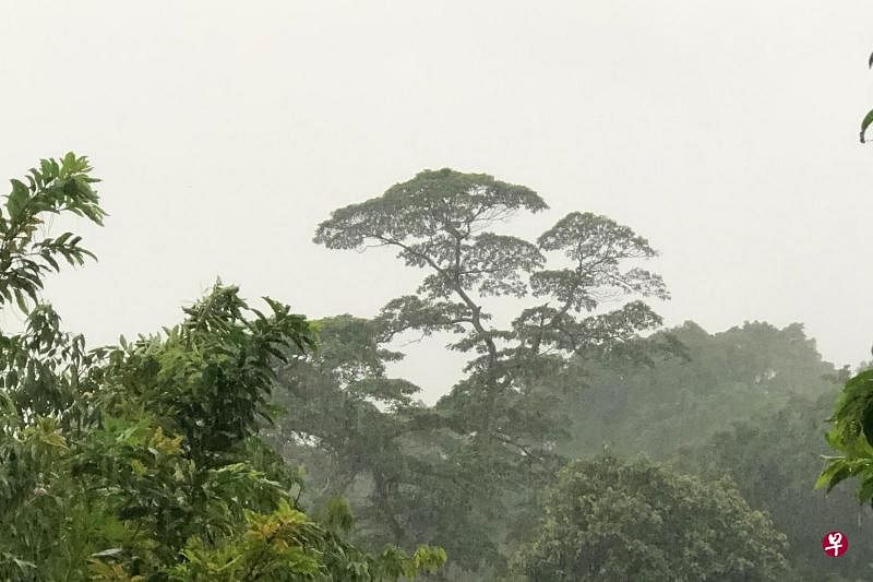 豪雨导致一些地区可能出现突发性淹水 | 早报