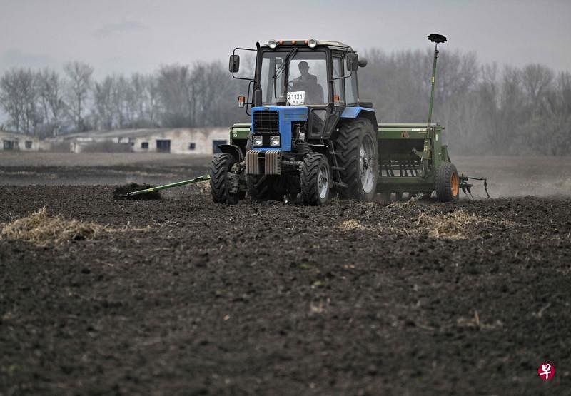 乌克兰农业部副部长称，俄罗斯军队在其占领的乌克兰地区盗窃了几十万公吨谷粮。（法新社档案照）