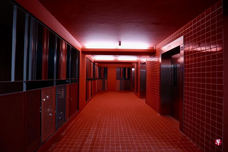 淡滨尼Tampines GreenVines项目其中几栋组屋以红色为题，有屋主投诉看起来毛骨悚然。（邝启聪摄）