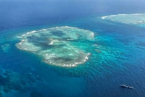 菲律宾渔业和水产资源局25日发布的照片，显示菲控制的一个珊瑚礁，这个珊瑚礁位于南中国海南沙群岛中业岛的附近。（法新社）
